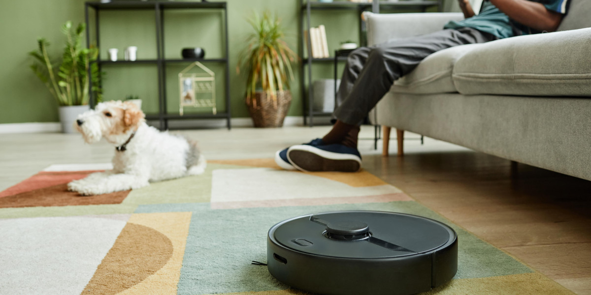 9 Things Your Parents Taught You About Best Robot Hoover