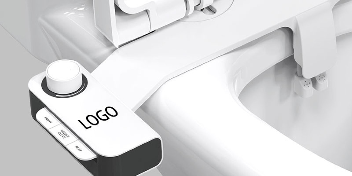 Custom Bidet Solutions for North American Market