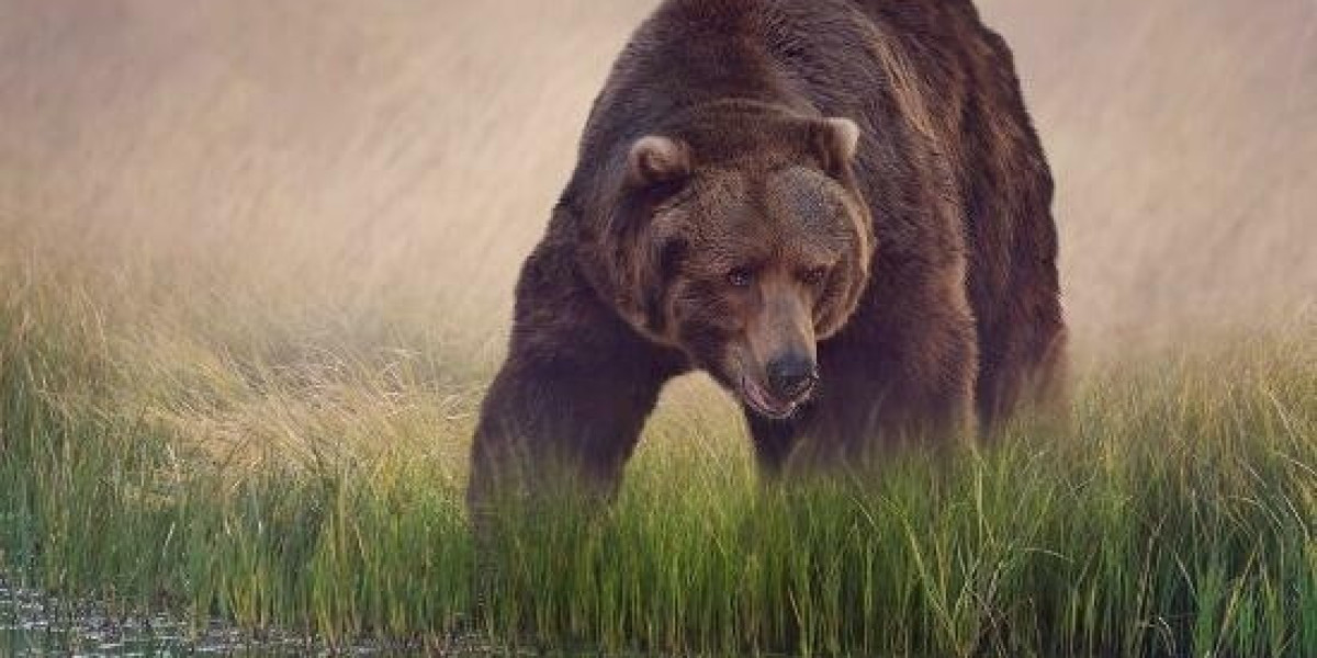 The Complete Guide to Triple Web Lease Agreements