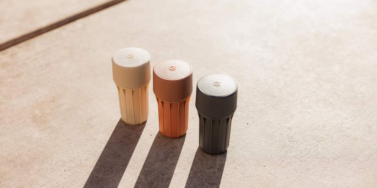 Best Herb Storage: A Complete Guide for Freshness and Quality