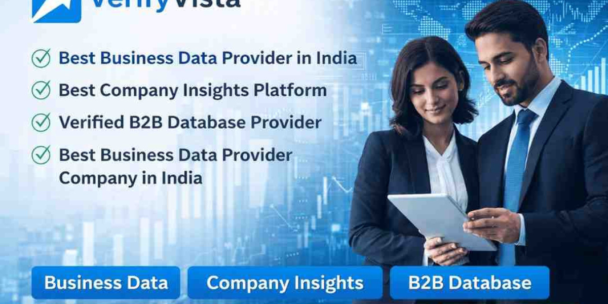 Advanced Business Data and Financial Analytics Platform for Indian Enterprises - Verify Vista