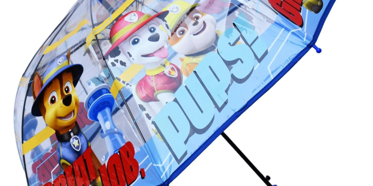 Buy Frill Princess Cloth Umbrella for Girls in Delhi