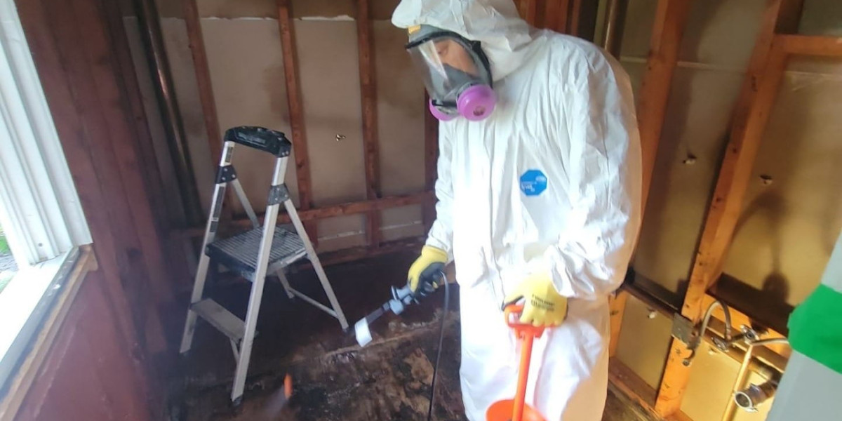 The Hidden Dangers of Mold and How to Protect Your Home