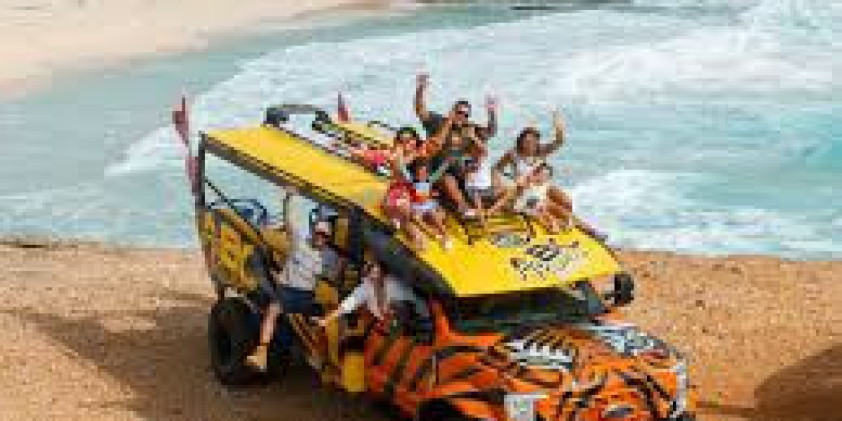 Aruba UTV Rentals for Adventure-Frenzy Souls - Craving an Expedition into the Rugged Terrain?