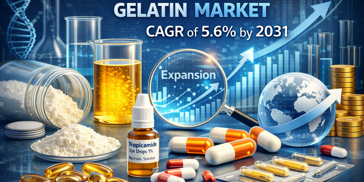 Pharmaceutical Grade Gelatin Market Trends at 5.6% CAGR