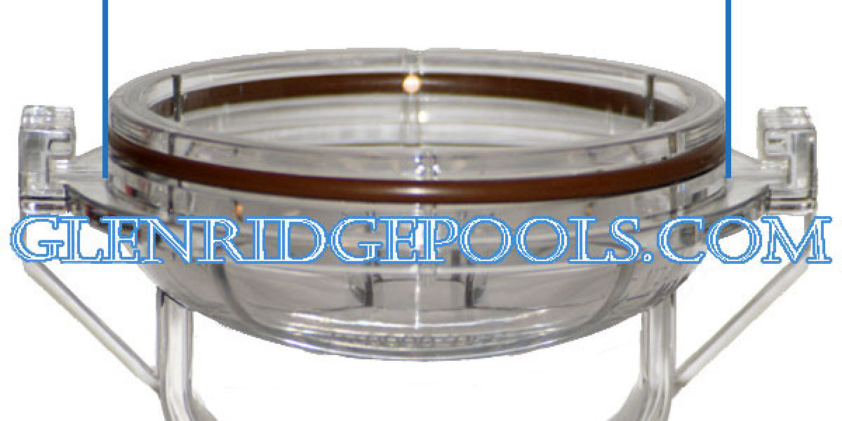 Why Replacing a Worn Pool Pump Lid O Ring Improves Pentair FNS Plus Efficiency