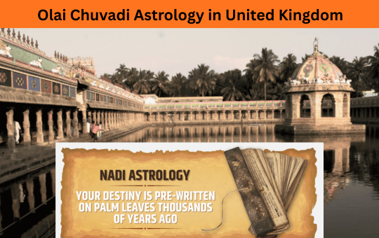 Online Olai Chuvadi Astrology Service in United Kingdom | Nadi UK